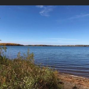 Meet your Posher, Rosalie